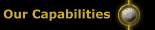 Our Capabilities